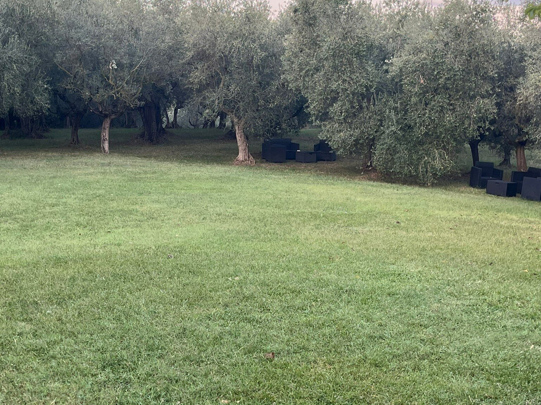 Agriturismo Il Vecchio Gelso主图