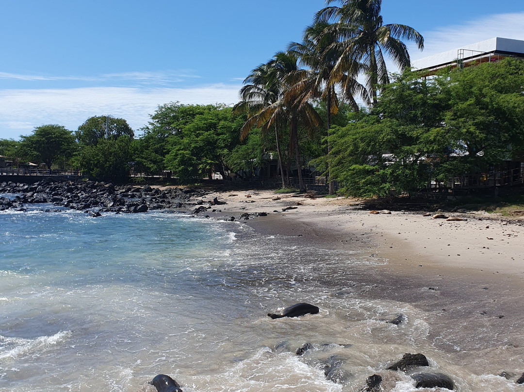 Playa de Oro-Puerto Baquerizo Moreno必去景点