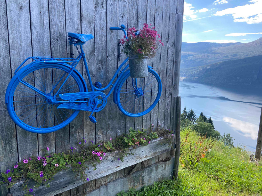 Tvinnefossen Waterfall-Stryn必去景点