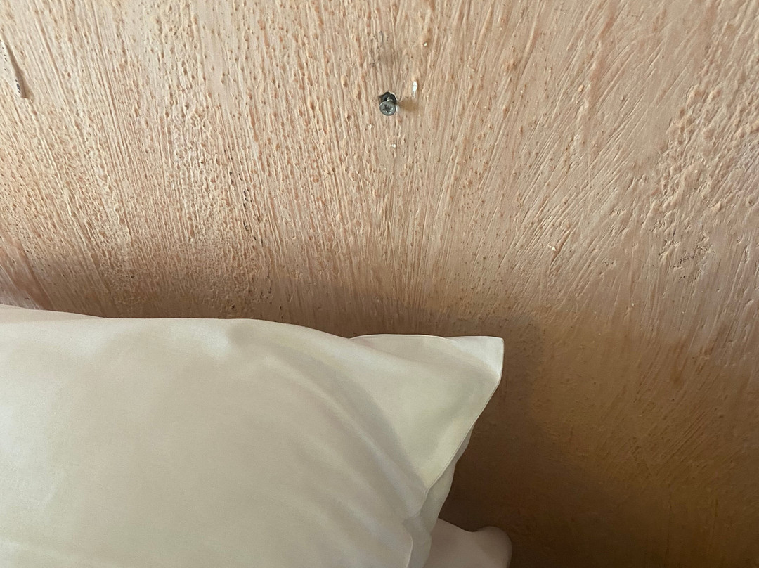 伊莱恩酒店主图