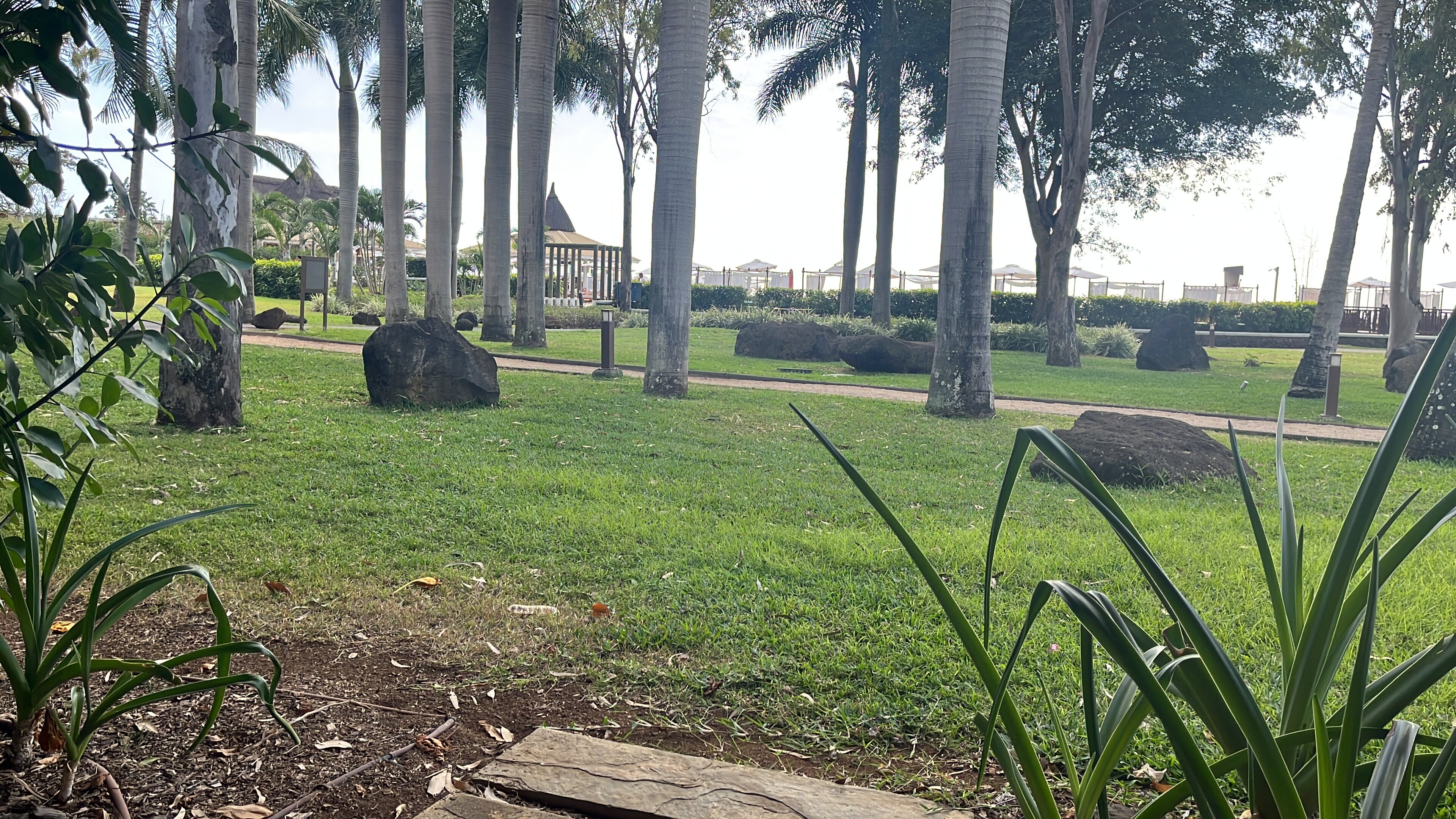 爱必浓毛里求斯度假村酒店-客卧