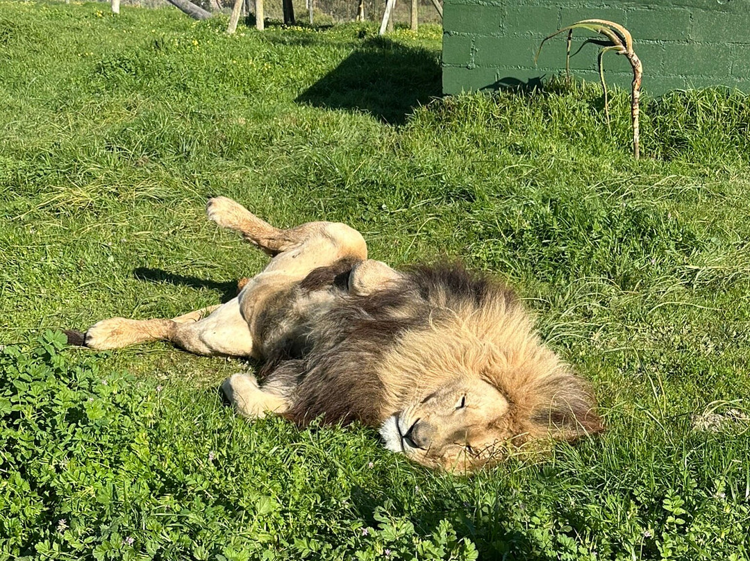 Cornell Skop-Botrivier必去景点