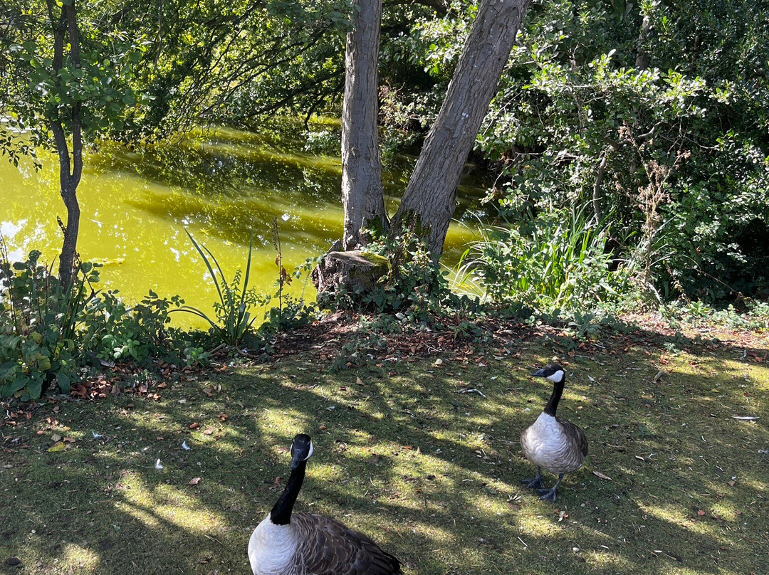 Taverham Mill Nature Reserve and Fishery-Taverham必去景点