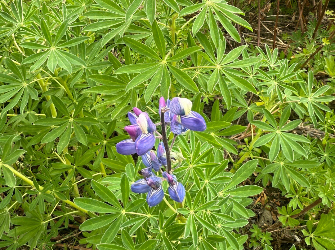 Hike and Bike-米湖必去景点