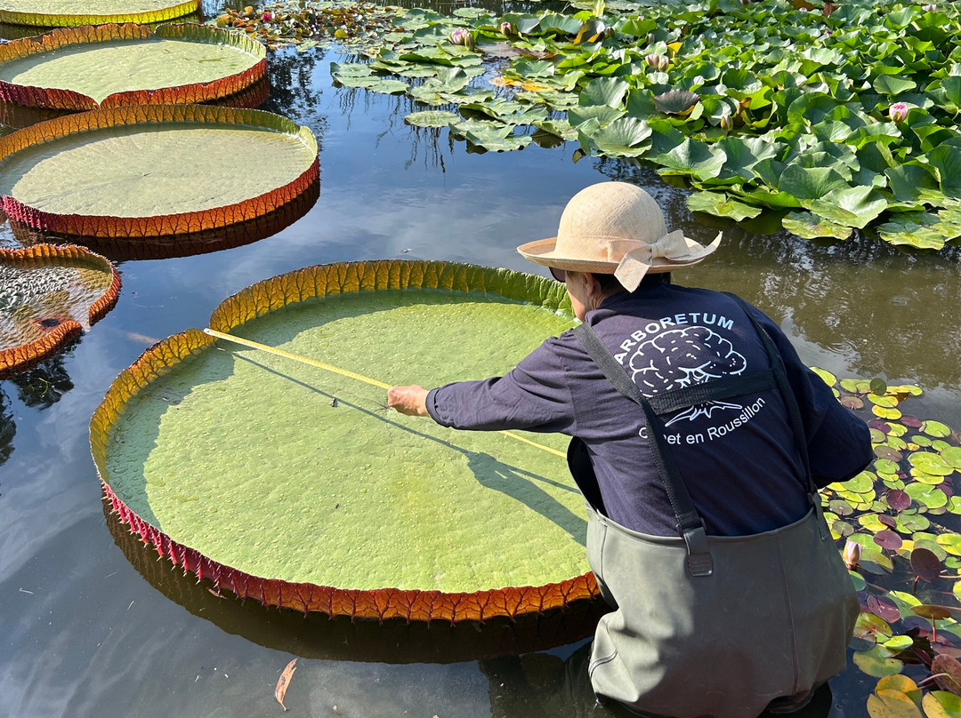 L'Arboretum-卡内鲁西永必去景点