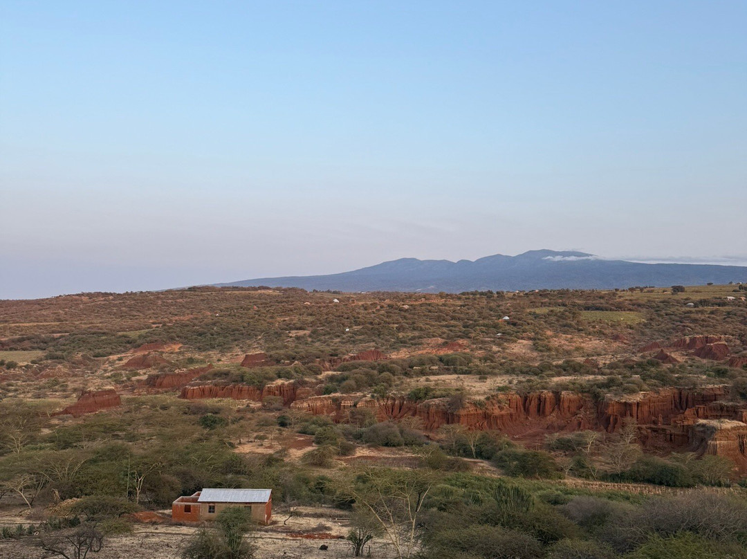 Africa Safari Karatu主图