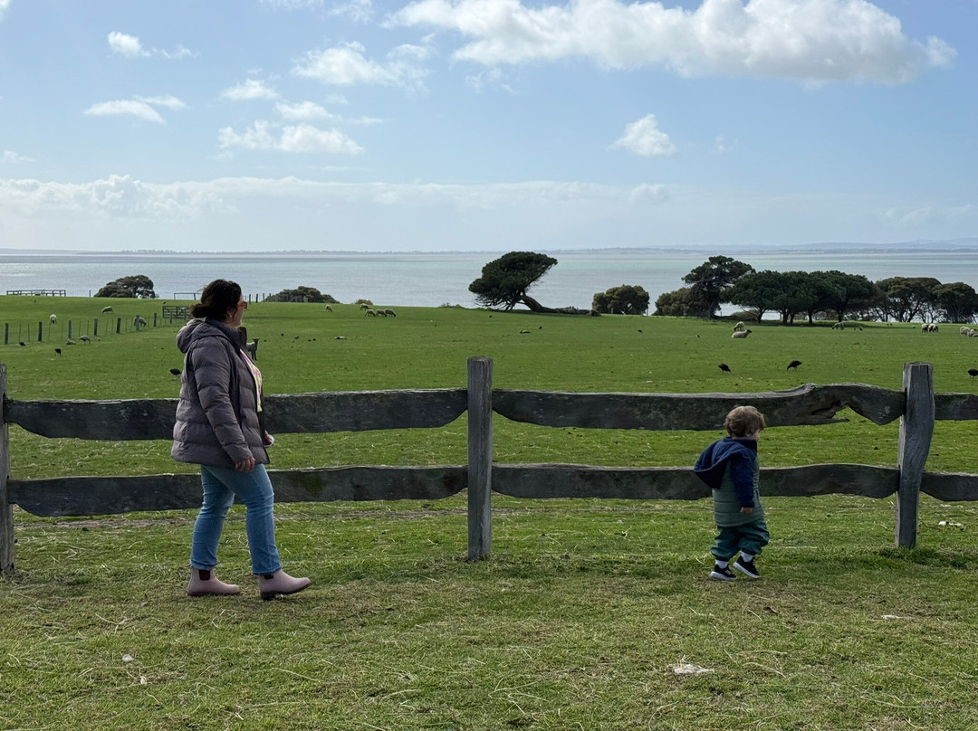 Churchill Island-菲利普岛必去景点