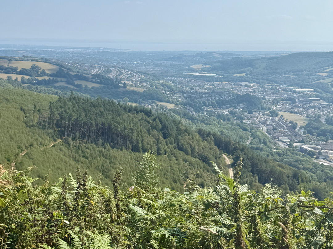 Cwmcarn Forest-Cwmcarn必去景点