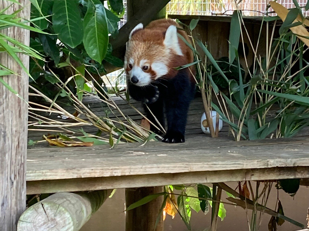 Amazon World Zoo Park-桑当必去景点