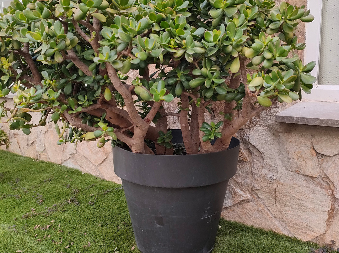 Bell Aire Hotel主图