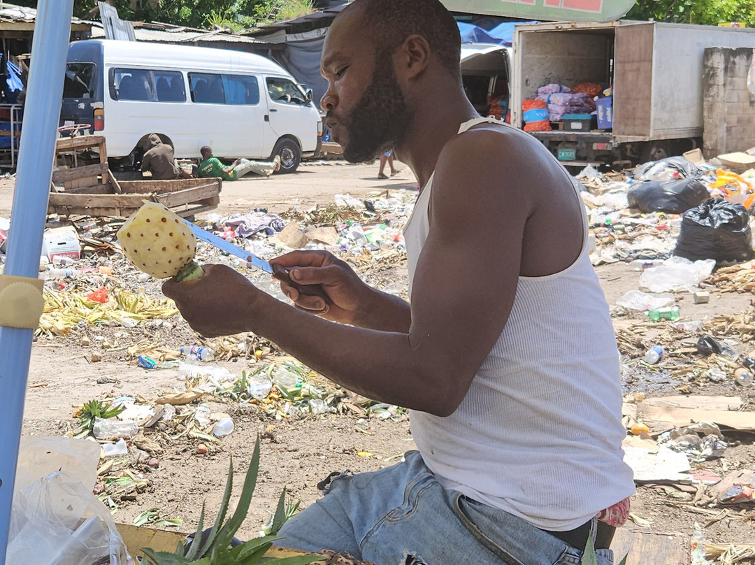 Simms Fun Tours Ja-蒙特戈贝必去景点