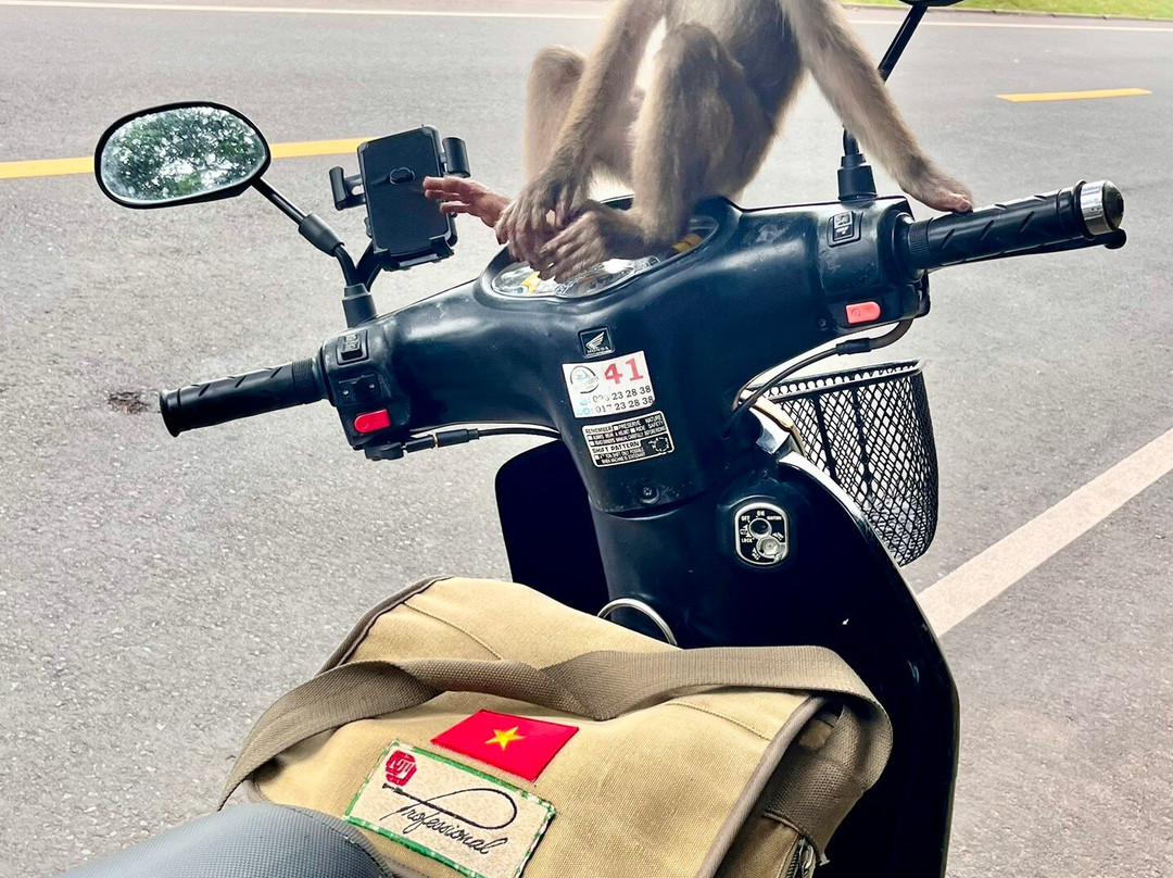 Siem Reap Scooter Rental-暹粒必去景点