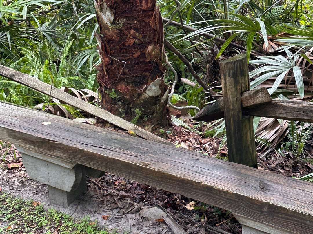 Juniper Springs Recreation Area-Silver Springs必去景点