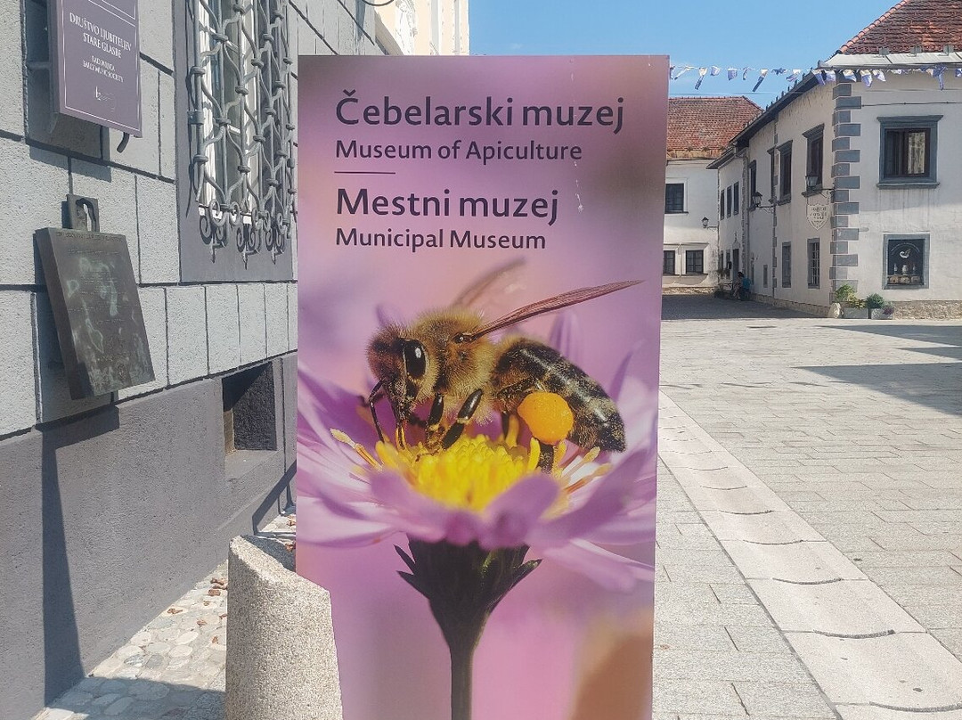 Beekeeping Museum (Cebelarski Muzej)-Radovljica必去景点