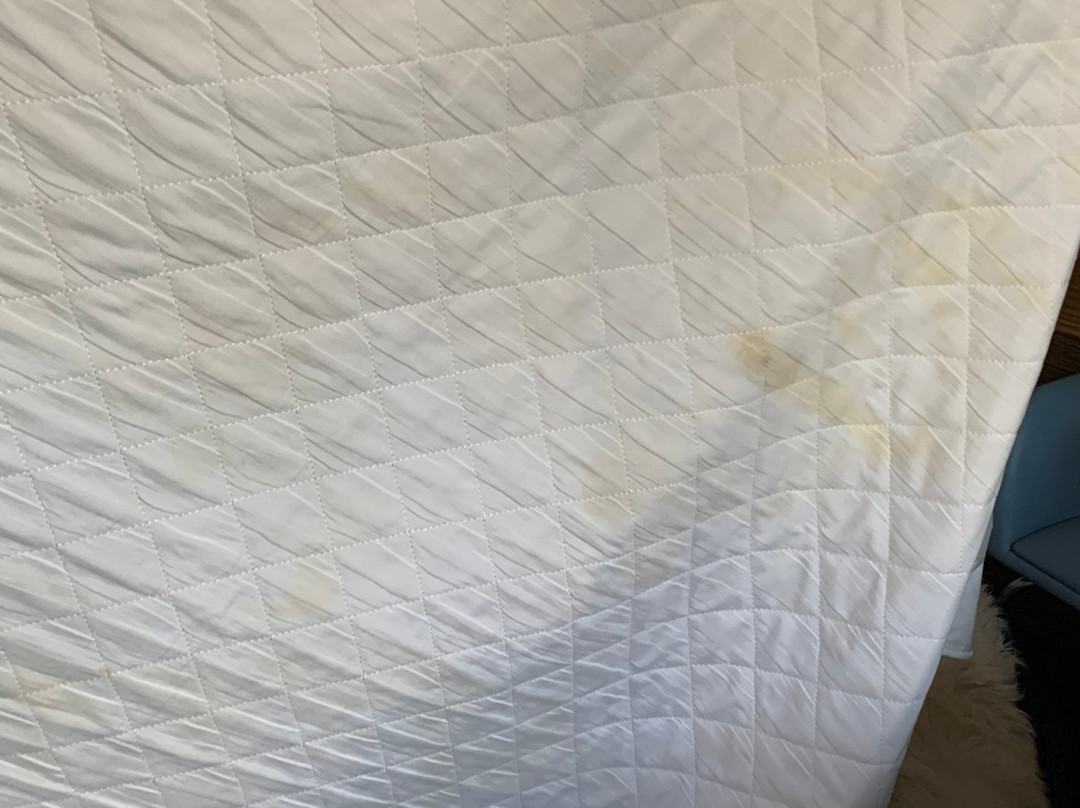 Travelodge Bristol Emersons Green主图