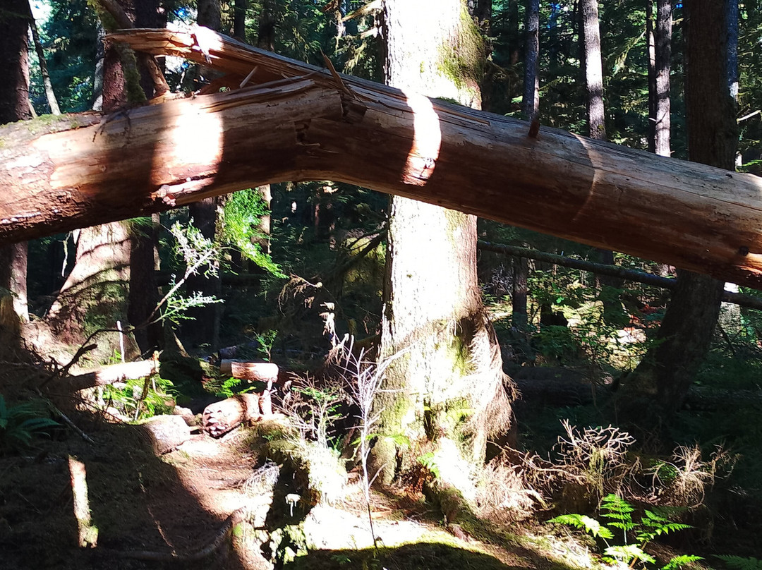 Gore Brook Trail-Daajing Giids必去景点