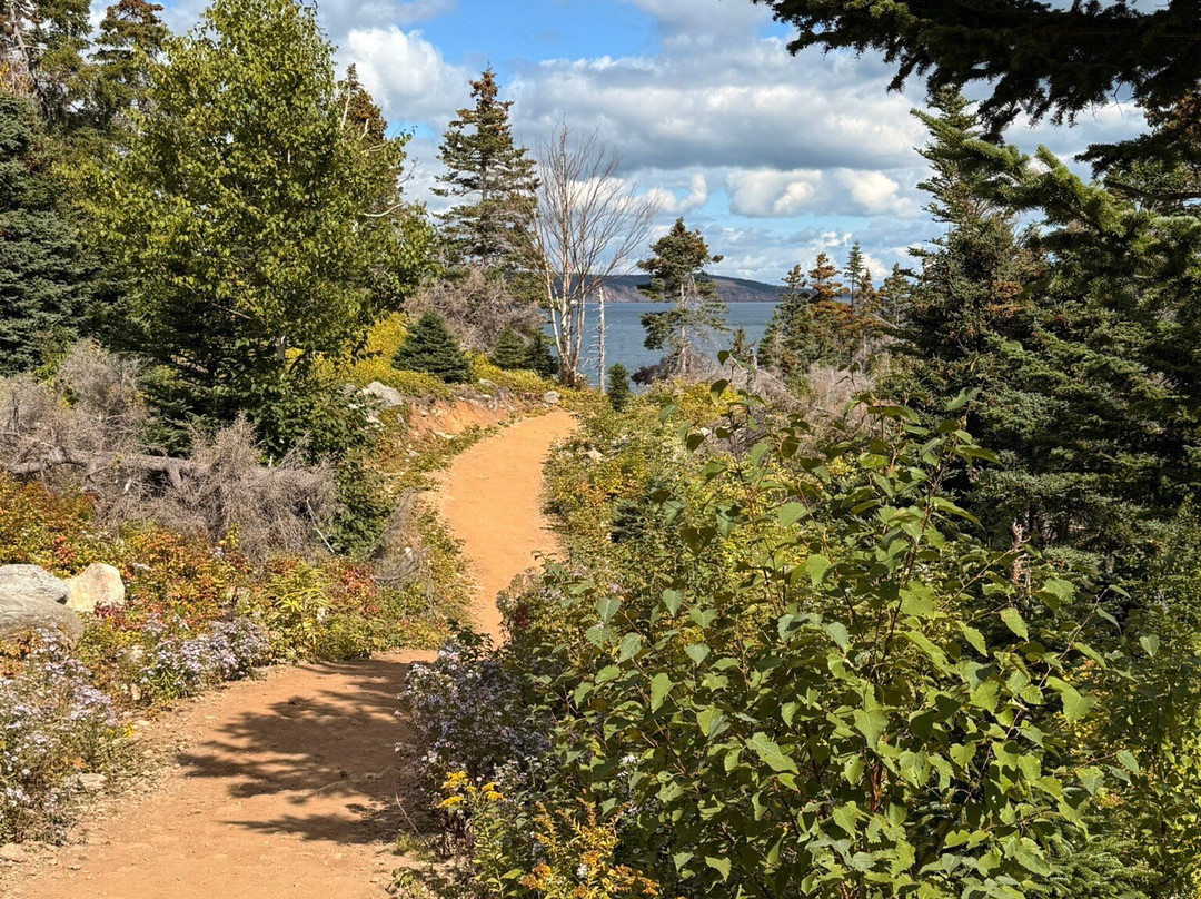 Middle Head Trail-Ingonish必去景点