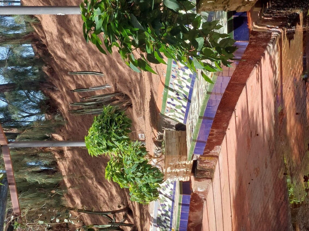 Botanical Park of Maspalomas (El Parque Botanico de Maspalomas)-马斯帕洛马斯必去景点
