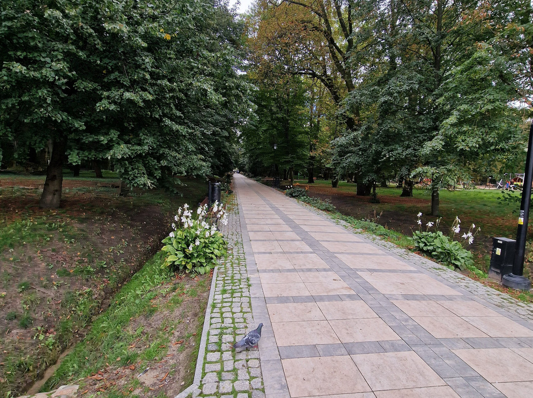 Park Miejski Aleksandria-Siedlce必去景点