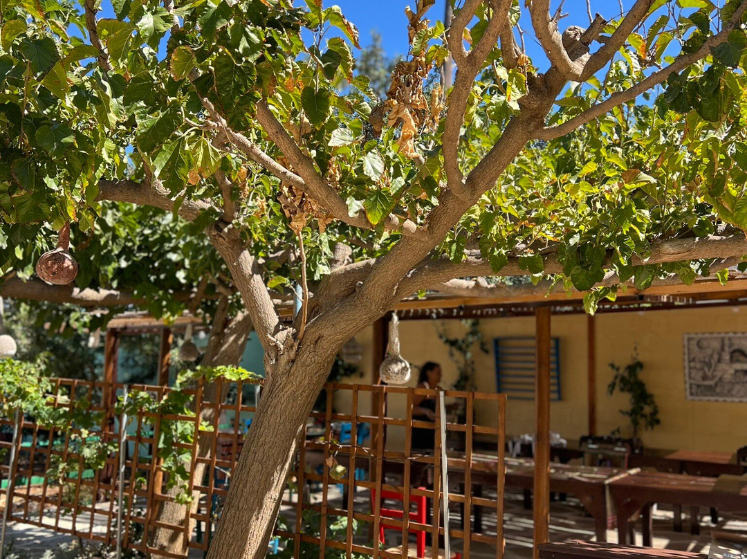 Spiridi Olive Oil Farm-Agios Nikolaos必去景点