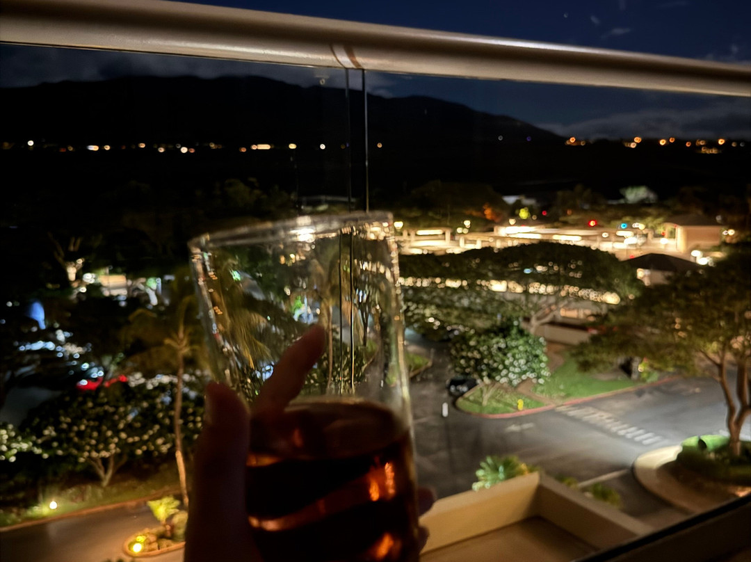 HK度假村科尼亚公寓主图