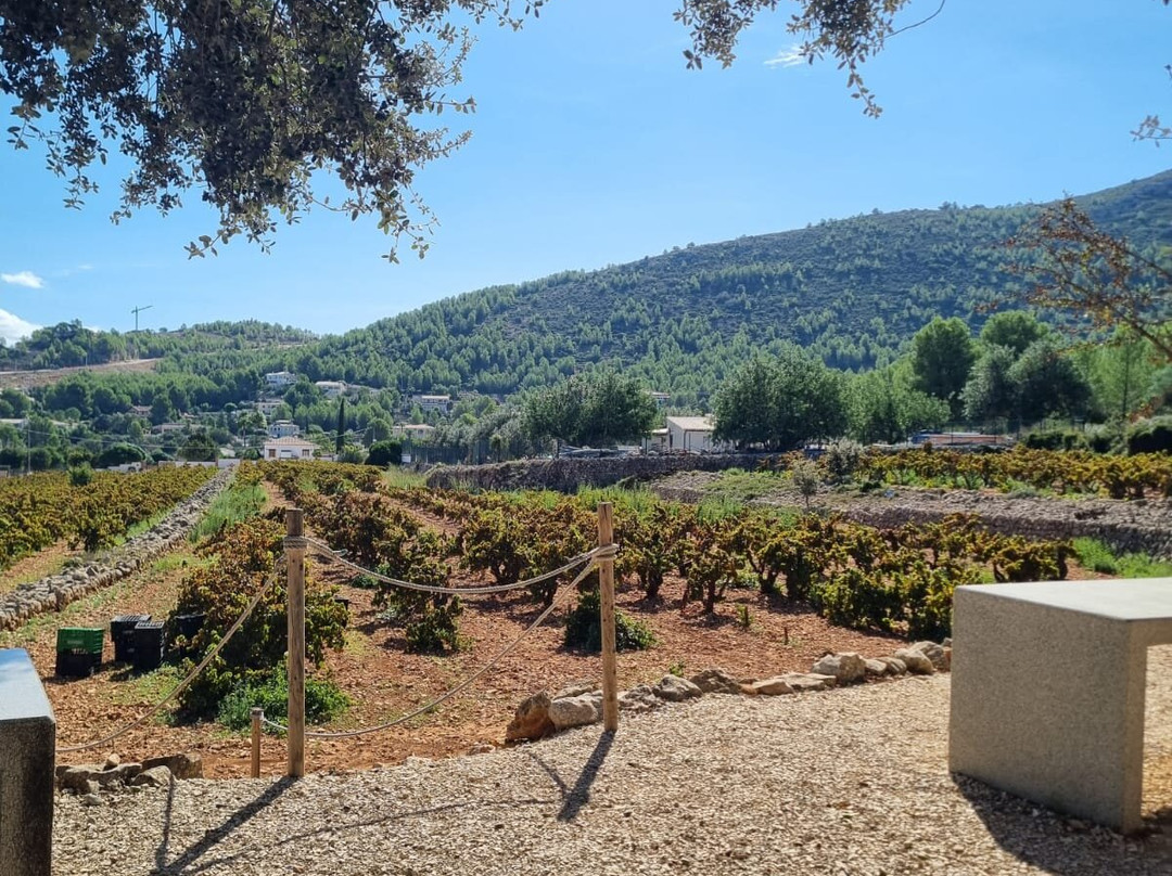 Casa Agrícola Pepe Mendoza-Lliber必去景点