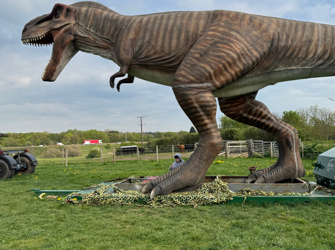 Lower Drayton Farm-Penkridge必去景点