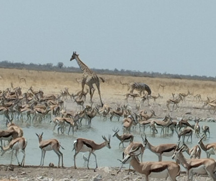 Bluecrane Safaris Namibia-温德和克必去景点