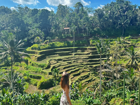 Bali Journey-乌布必去景点