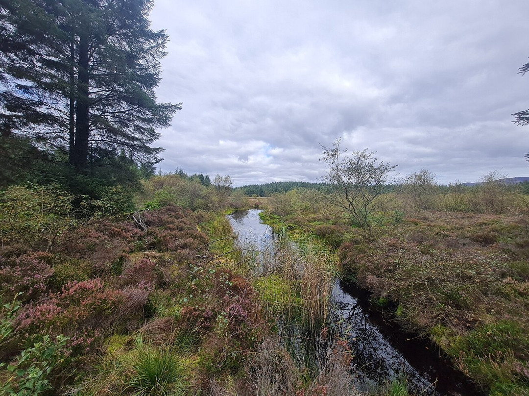King's Caves-Blackwaterfoot必去景点