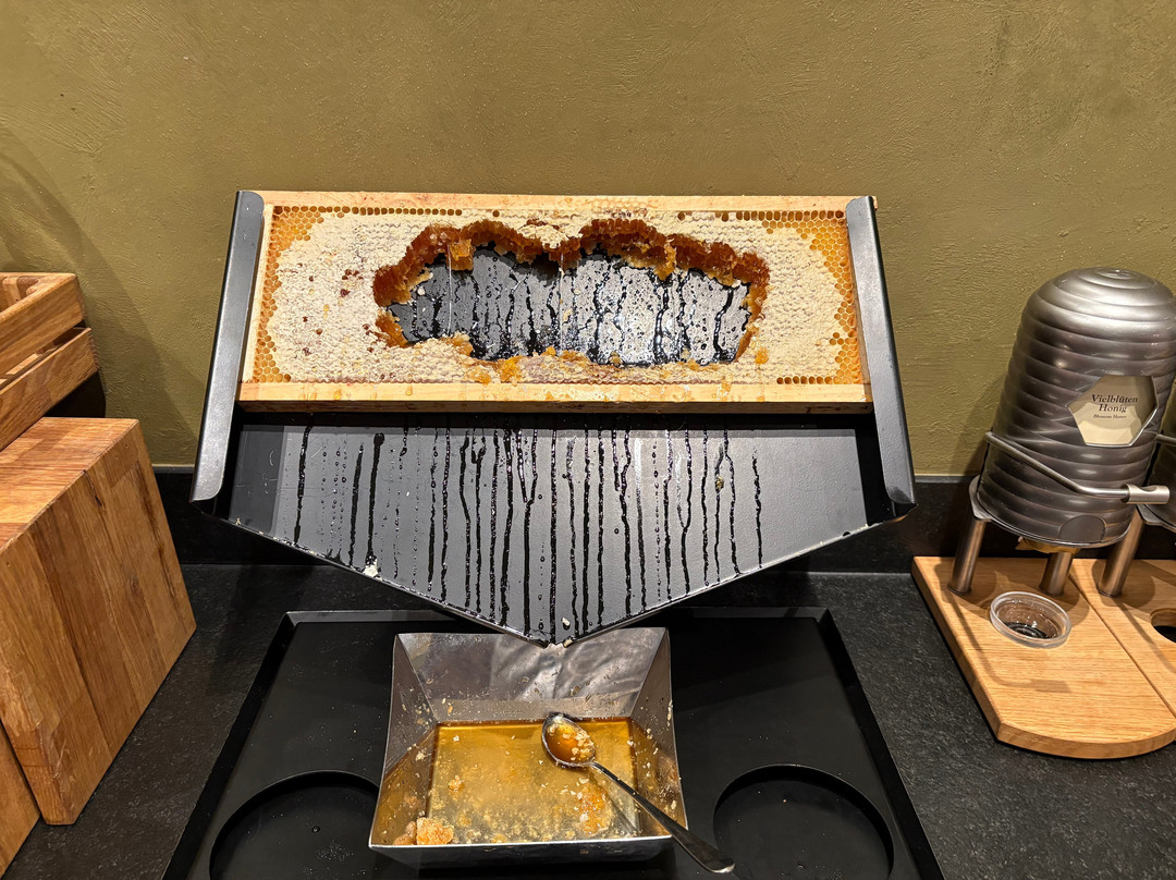 Berggasthof Konigstuhl主图