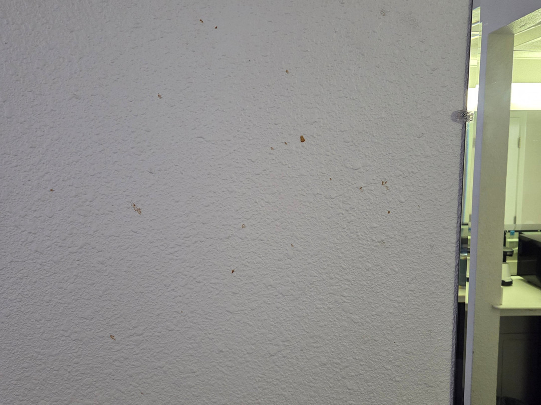 La Quinta Inn by Wyndham Las Cruces Mesilla Valley主图