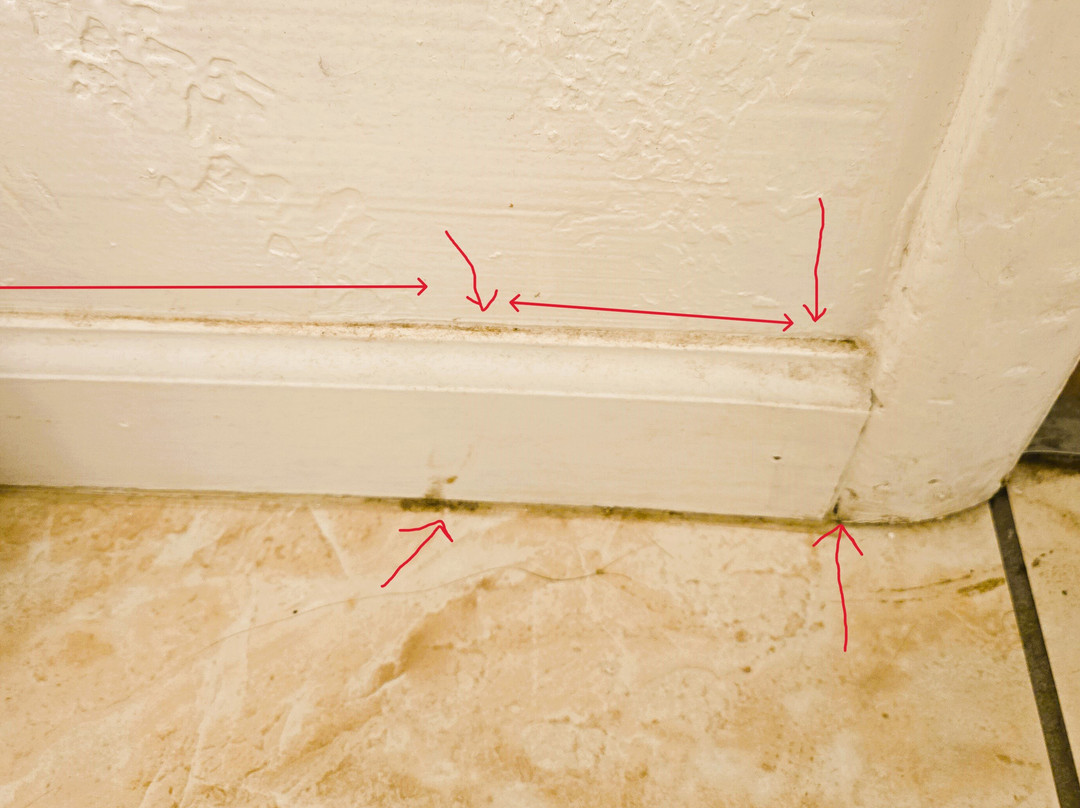 Country West Motel主图