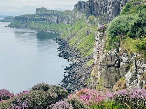 WanderLush Travels-Cottage Grove必去景点