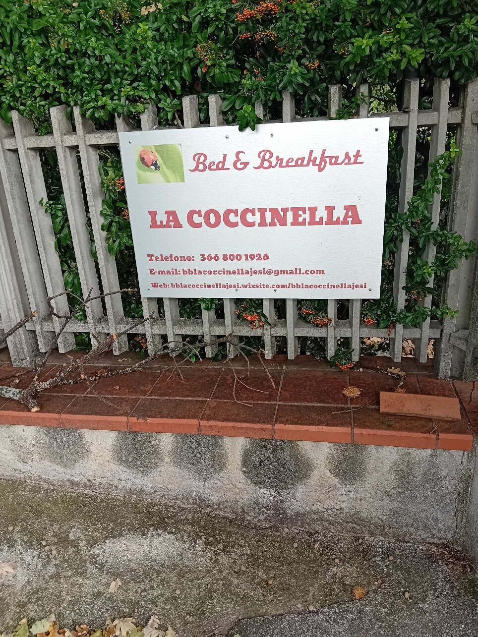 La Coccinella-官方