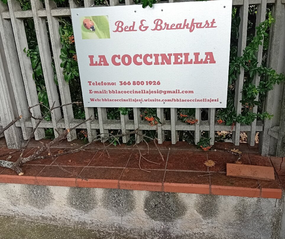La Coccinella主图