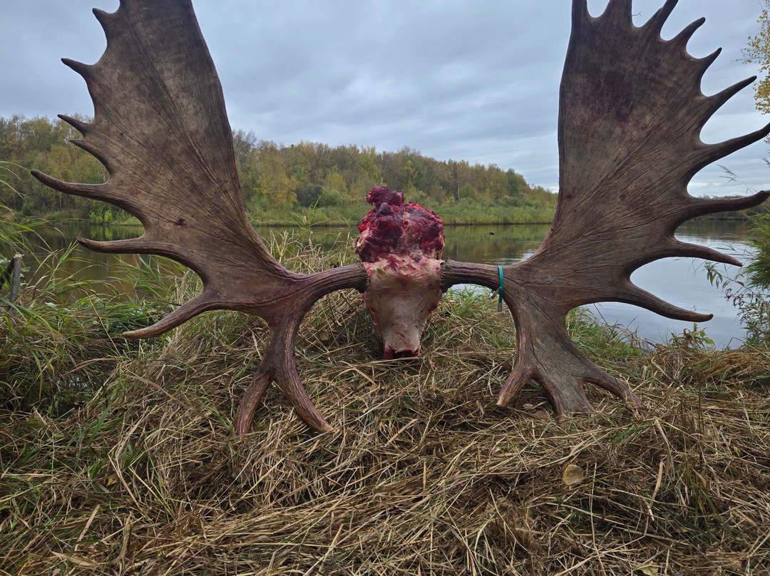 Willow Air Alaska-Willow必去景点