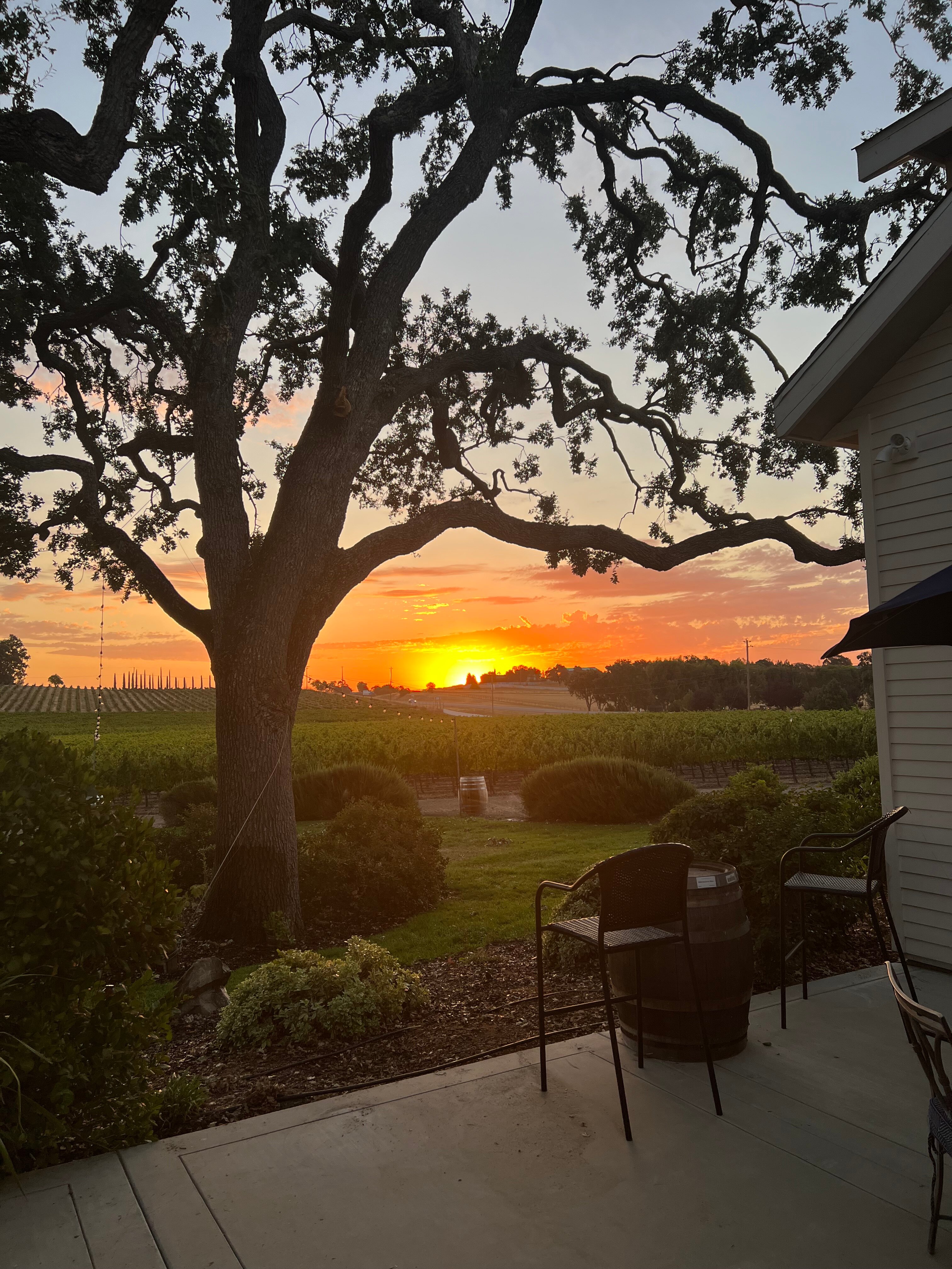 Summerwood Winery & Inn-官方