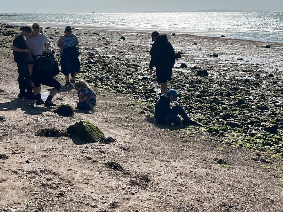 Isle of Wight Fossil Hunts - Island Gems-Godshill必去景点