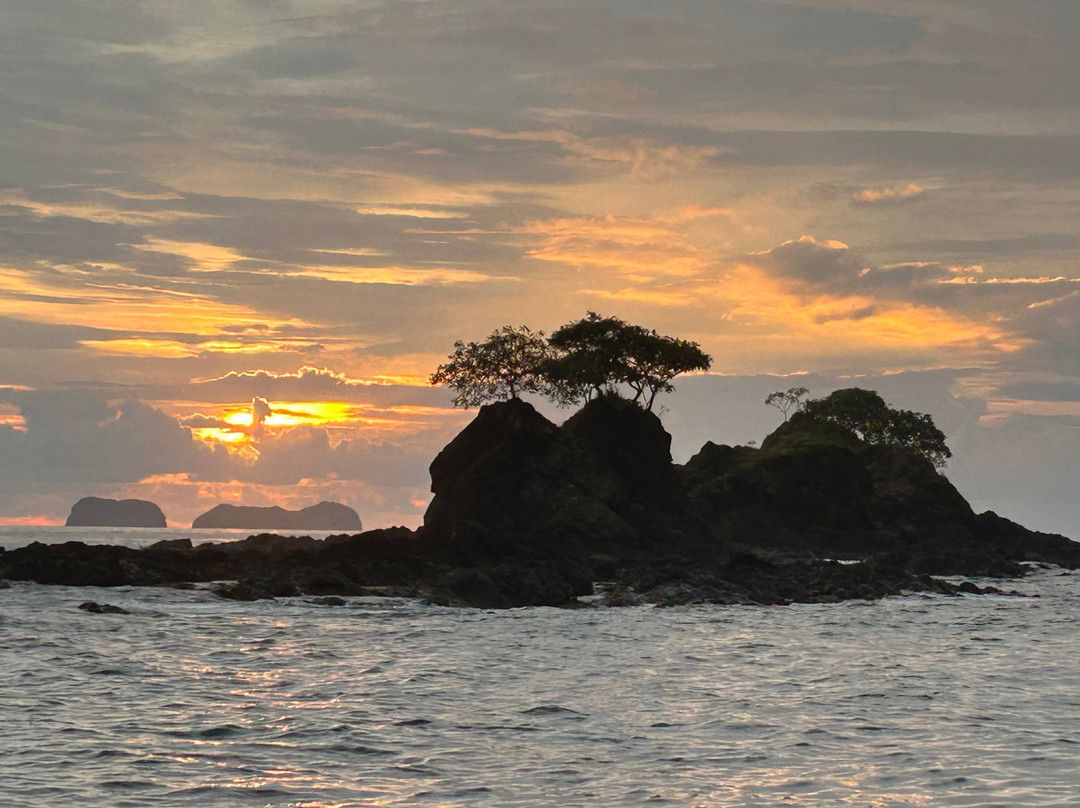 Mr Pelicano Boat Tours-Playa Flamingo必去景点