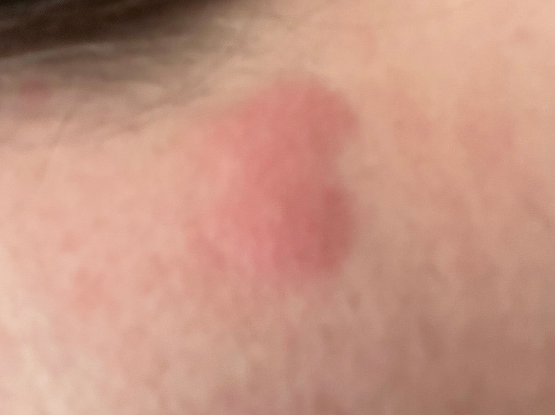 西佳米尔里弗庄园酒店主图