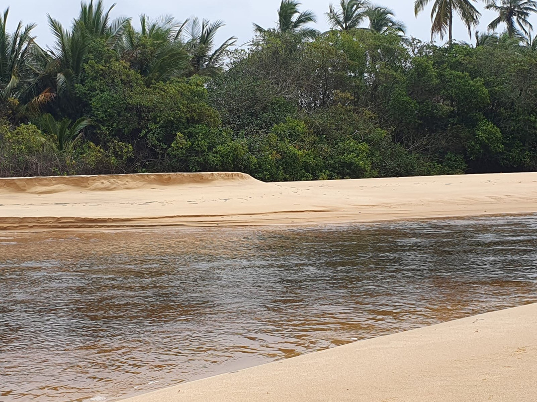 Rio da Barra Beach-特兰科苏必去景点