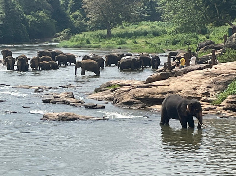 SRI LANKAN NAVIGATOR-Hambantota必去景点