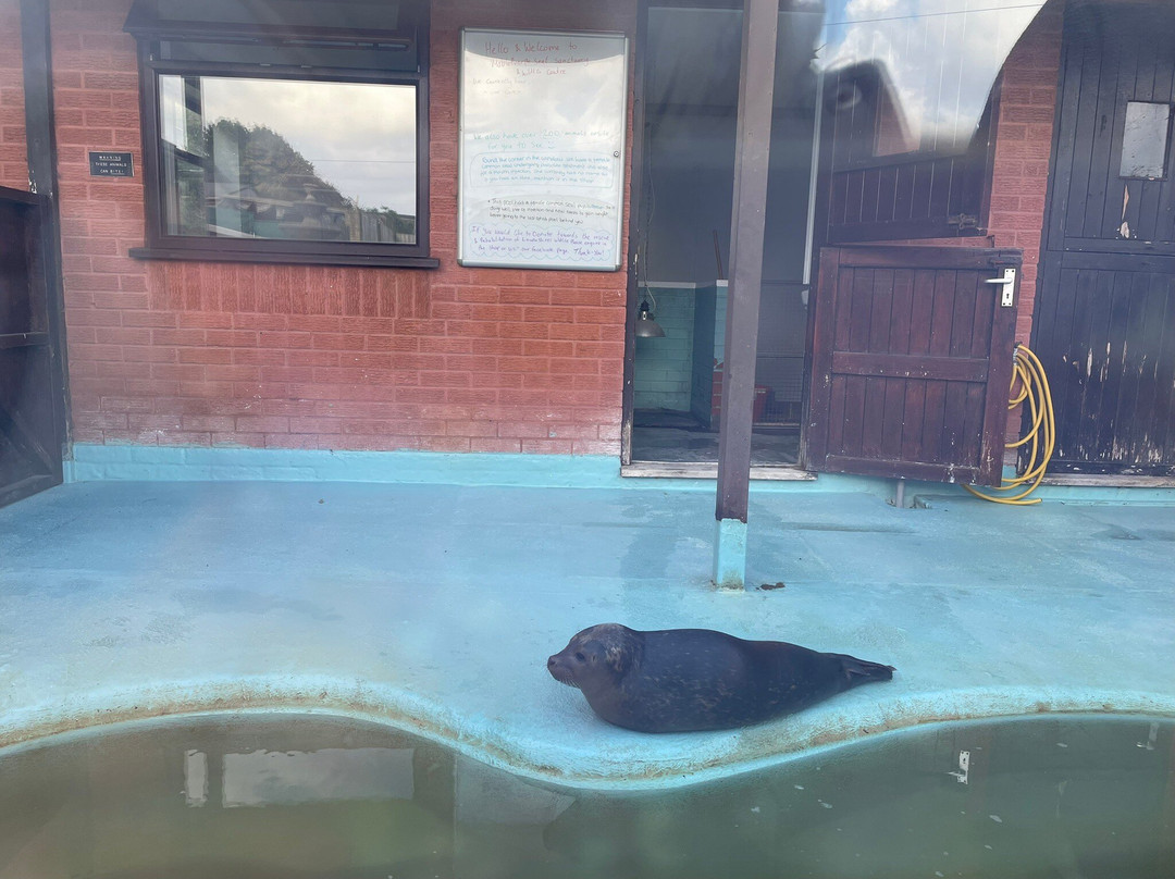Mablethorpe Seal Sanctuary and Wildlife Centre-Mablethorpe必去景点
