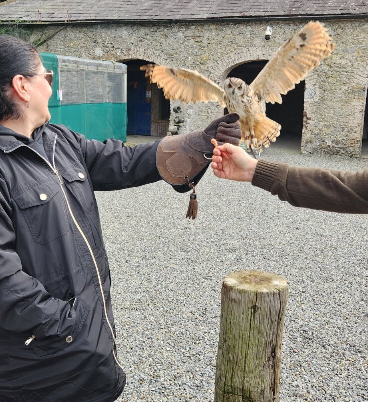 Dublin Falconry-Castleknock必去景点