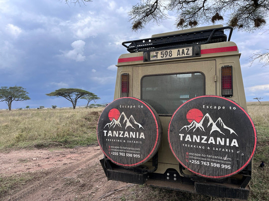 Escape To Tanzania Trekking & Safaris-莫西必去景点