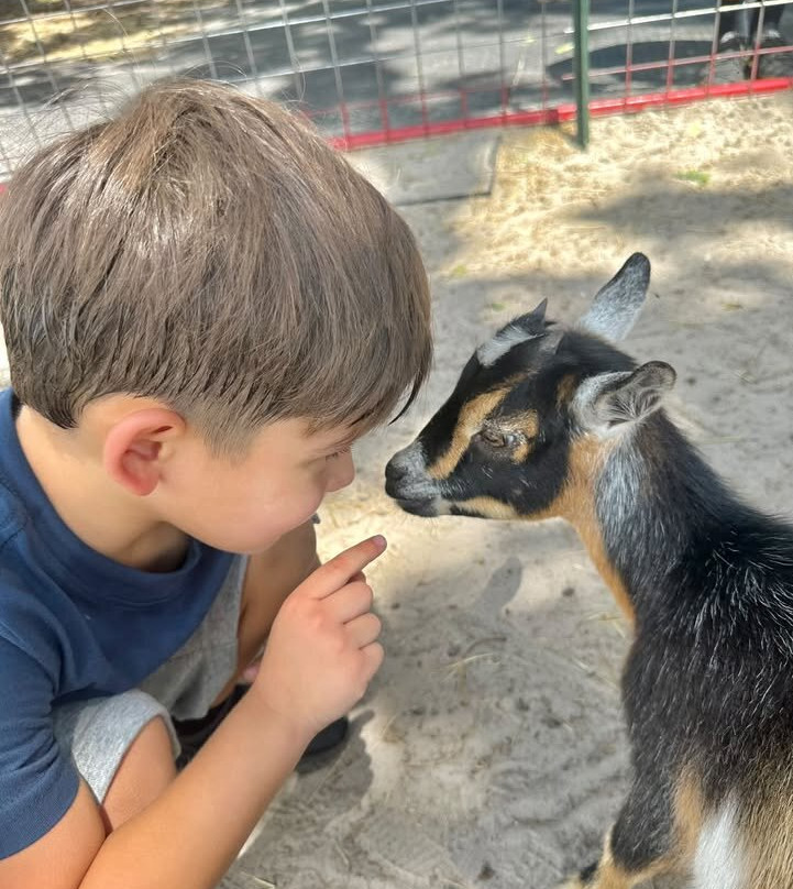 Green Meadows Petting Farm-基西米必去景点