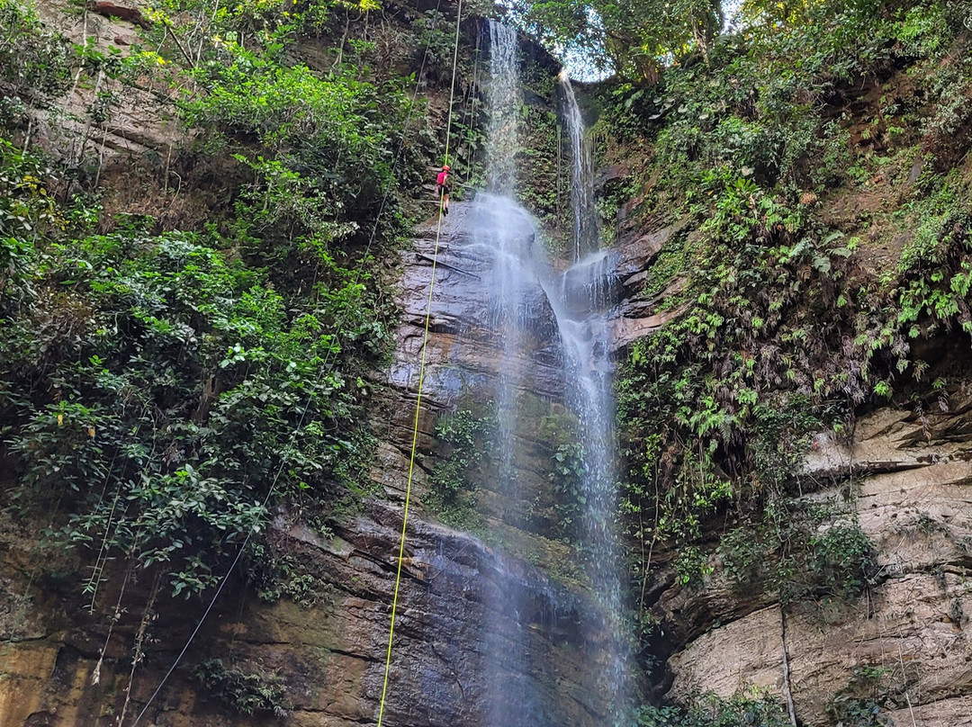 Cachoeira da Roncadeira-Palmas必去景点