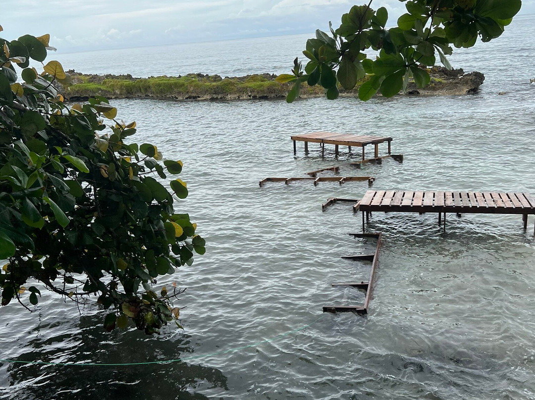 Booby Cay Island-内格里尔必去景点