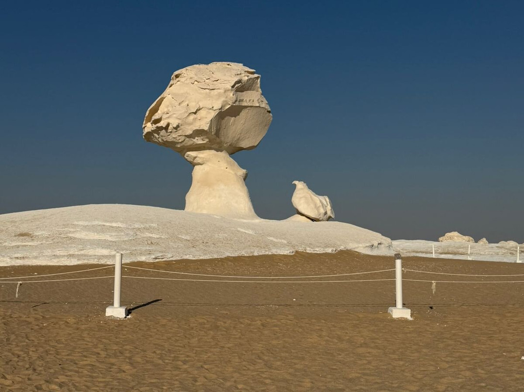 Bahariya Oasis Desert-Bahariya Oasis必去景点